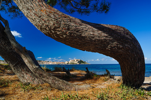 Hartmut Krinitz: „Korsika – Insel der Schönheit“